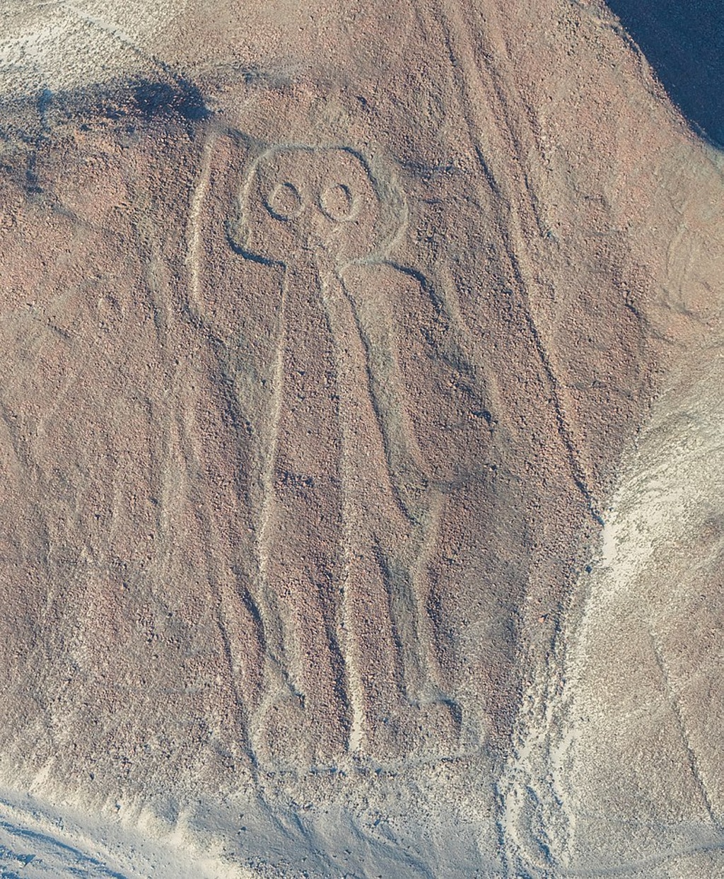 Descubren 50 nuevos dibujos en Nazca