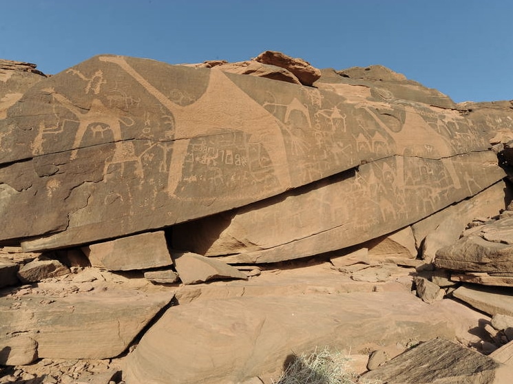 Descubren esculturas de camellos de tamaño natural en Arabia Saudí