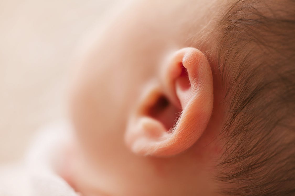 Descubren para qué sirve una de las más desconocidas estructuras del oído