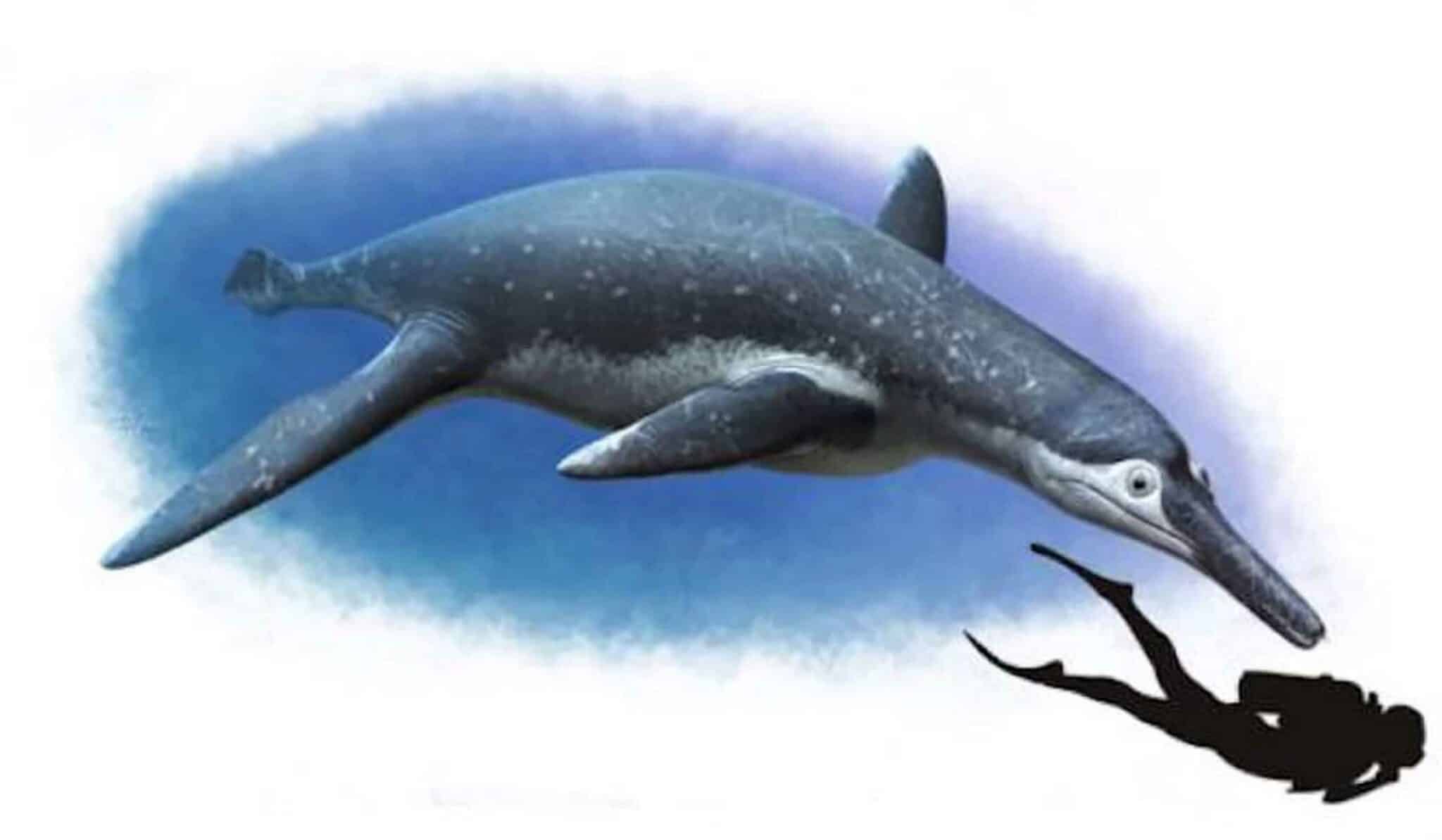 Descubren un colosal monstruo marino de hace 130 millones de años