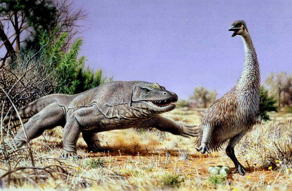 Descubren una de las primeras extinciones provocada por humanos 1 descubren una de las primeras extinciones provocada por humanos Descubren una de las primeras extinciones provocada por humanos