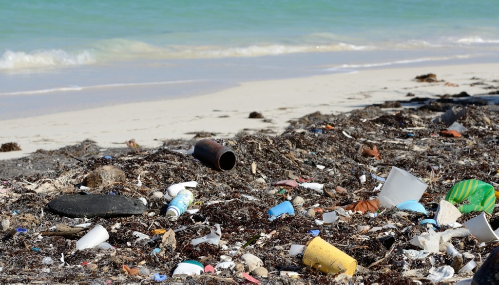 El 80% de la basura que llega al mar proviene de tierra adentro