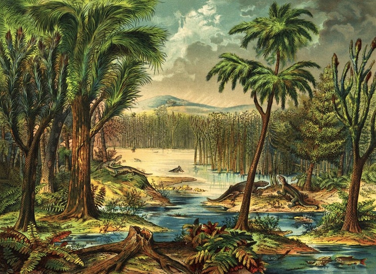 El colapso de los bosques, 300 millones de años atrás, reconfiguró la evolución