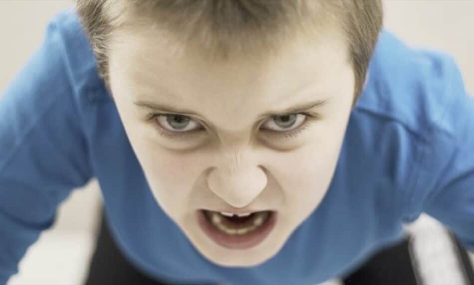 El cortisol tiene la culpa de la agresividad infantil