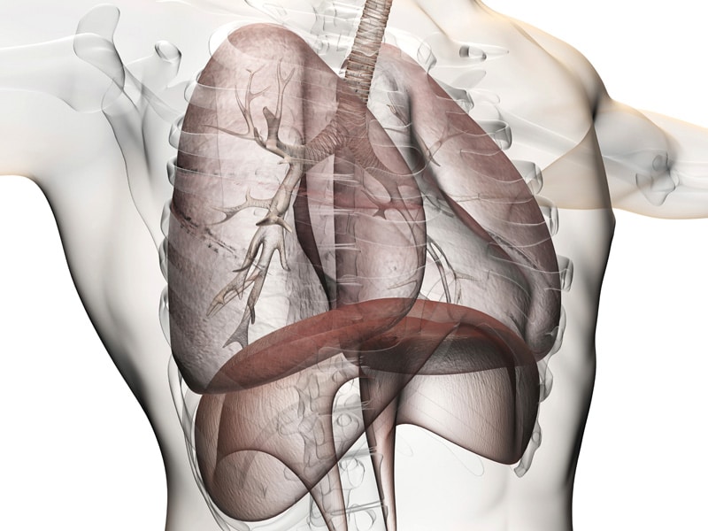 El cuerpo humano: Trasplante de pulmones