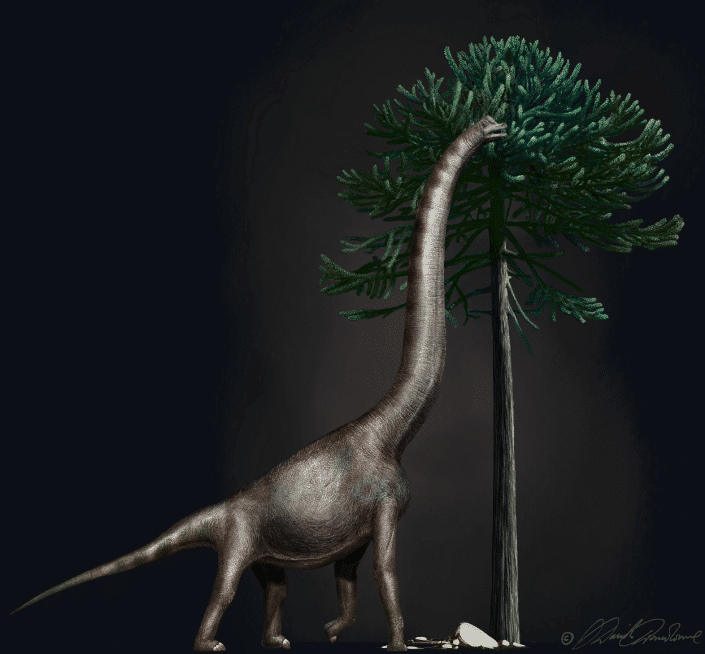 ¿El dinosaurio más grande del mundo?