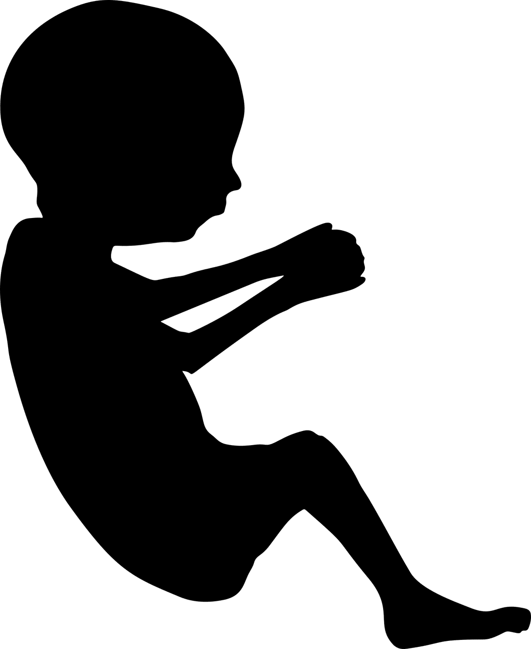 El extraño caso del feto que albergaba…otro feto