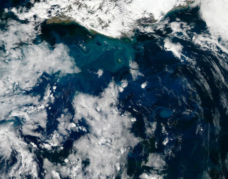 El fitoplancton está desapareciendo del Índico