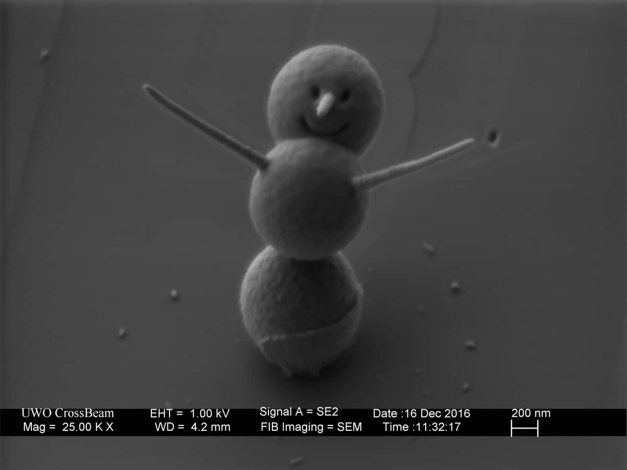 El muñeco de nieve más pequeño del mundo