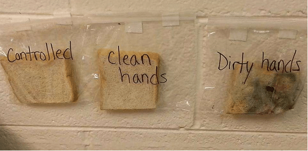 El sorprendente experimento de una profesora para concienciar sobre el lavado de manos