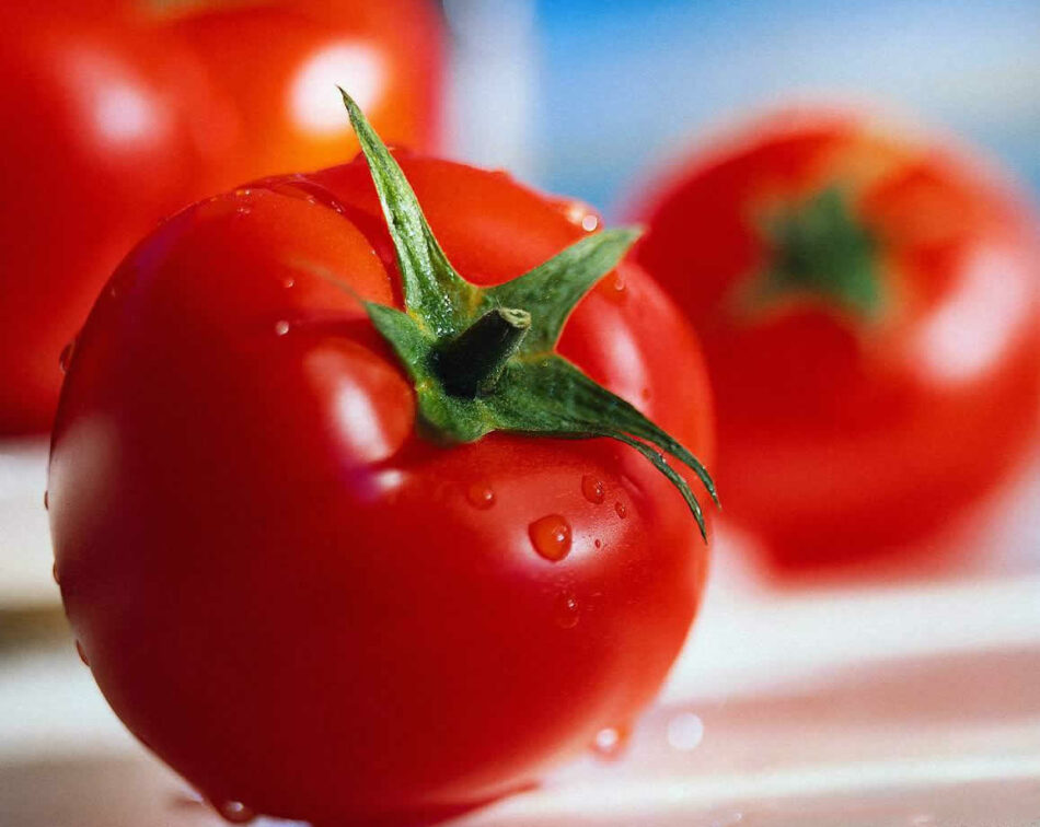 El tomate, ¿es una fruta? ¿una hortaliza? ¿una verdura?