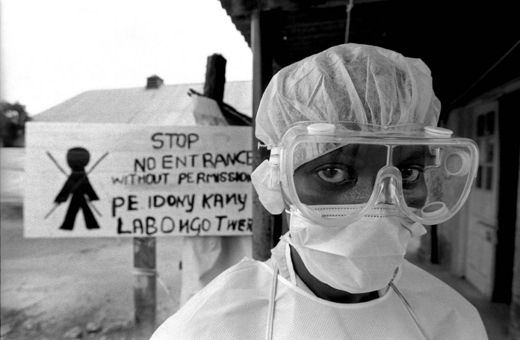 El virus del ébola podría tener entre 16 y 23 millones de años 1 el virus del ebola podria tener entre 16 y 23 millones de anos El virus del ébola podría tener entre 16 y 23 millones de años