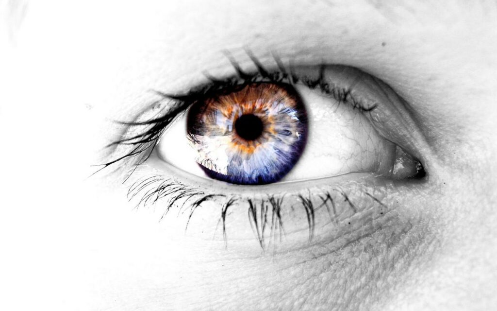 El ojo de la memoria 1 el ojo de la memoria El ojo de la memoria