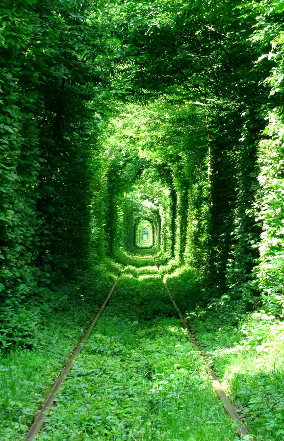 El túnel más romántico del mundo
