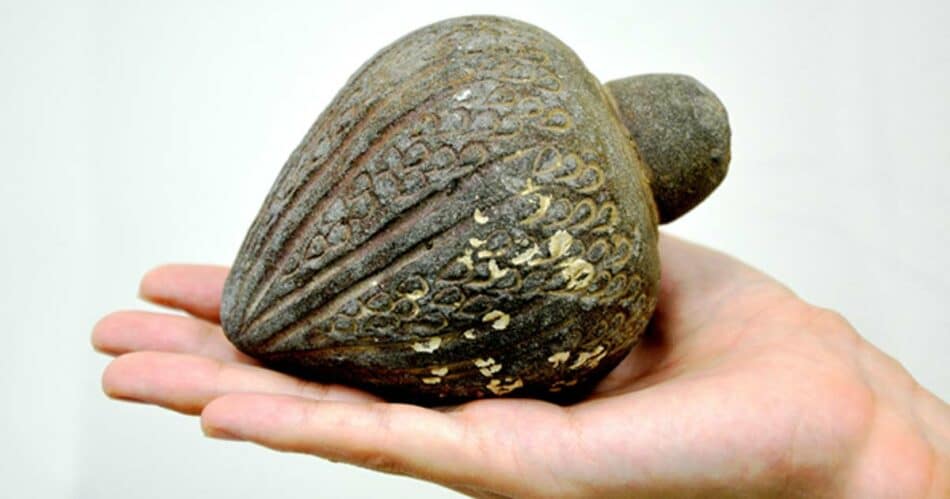 Encuentran la granada de mano más antigua de la historia