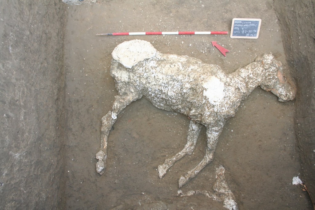 Encuentran los restos de otra víctima de Pompeya