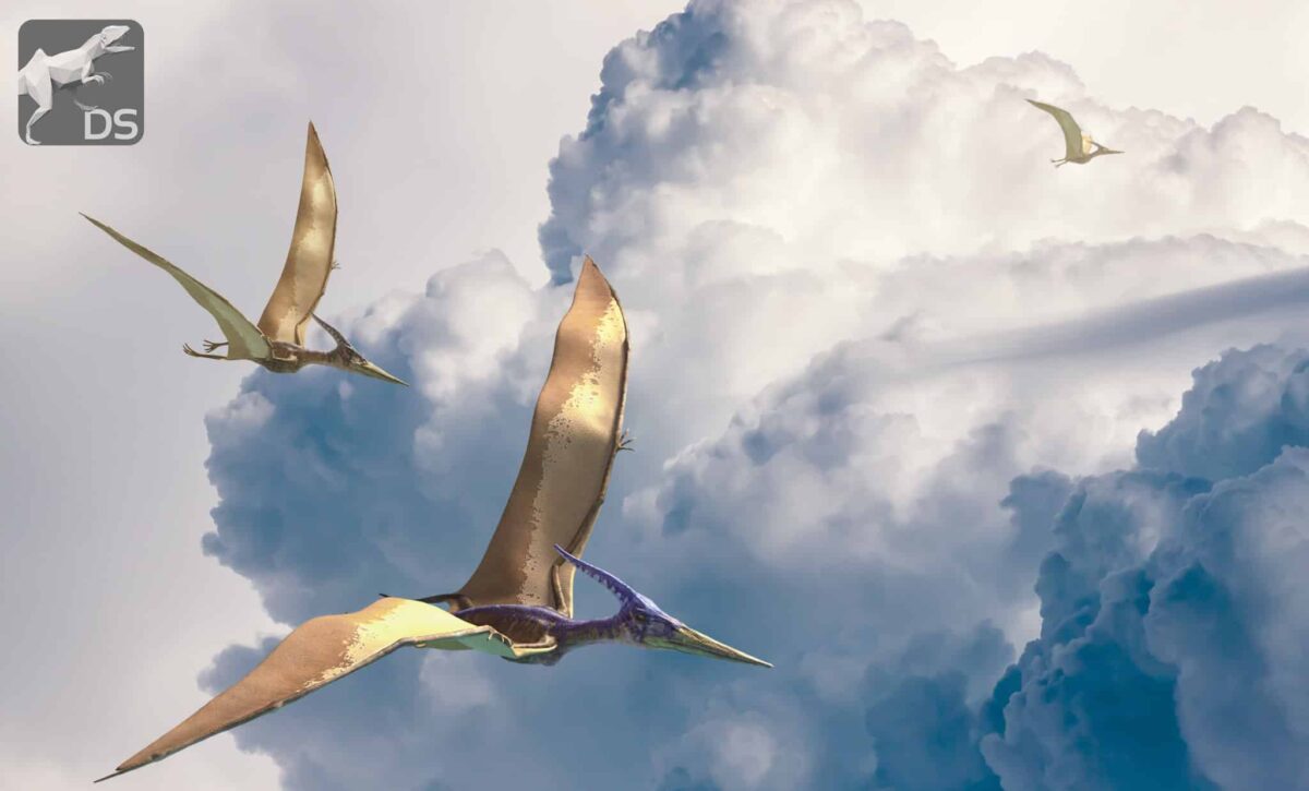 ¿Eran los pterosaurios dinosaurios voladores?