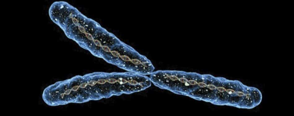 ¿Es el cromosoma Y culpable de que los hombres vivan menos?