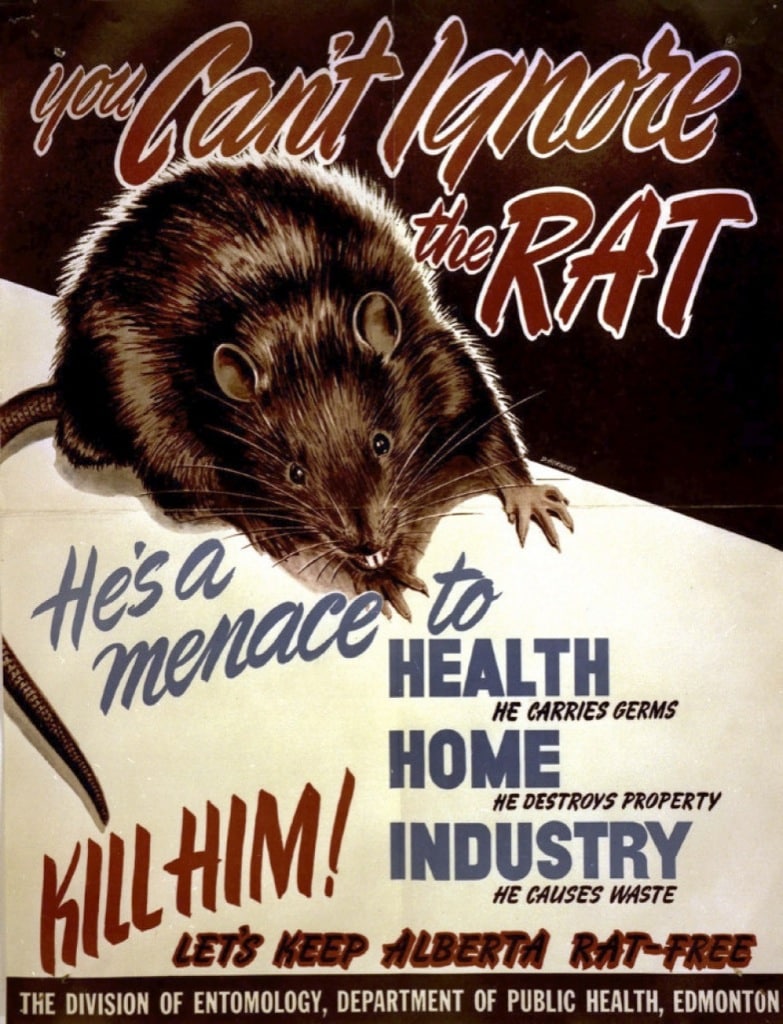 ¿Es posible acabar con todas las ratas de un país?