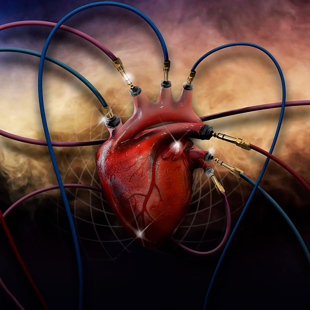 ¿Es posible «curar corazones» con células? Una nueva investigación abre la puerta a ello