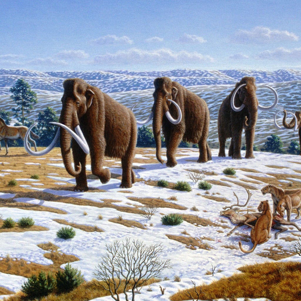 ¿Es posible que los mamuts vuelvan a existir?