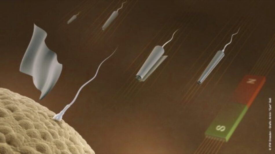 Espermatozoides dirigidos por control remoto