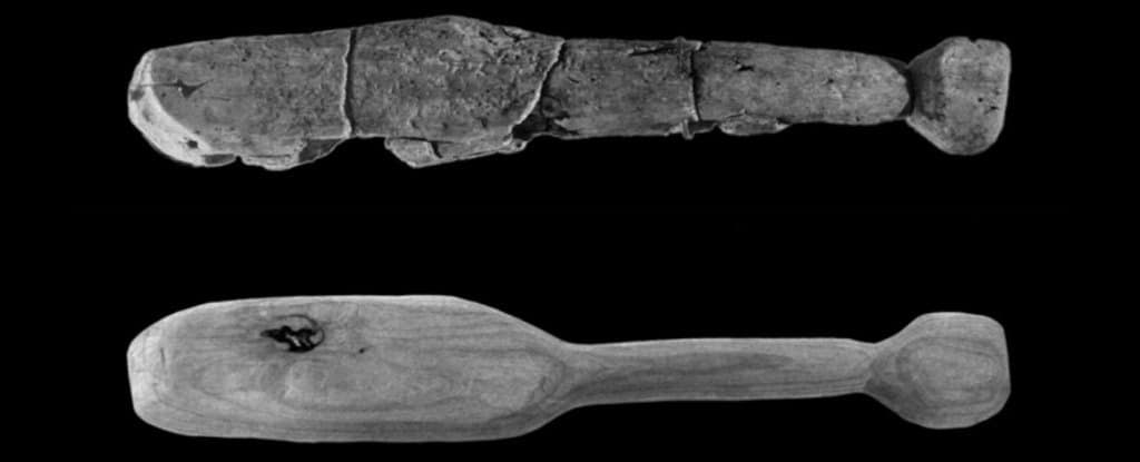 Este arma prehistórica podía destrozar un cráneo humano