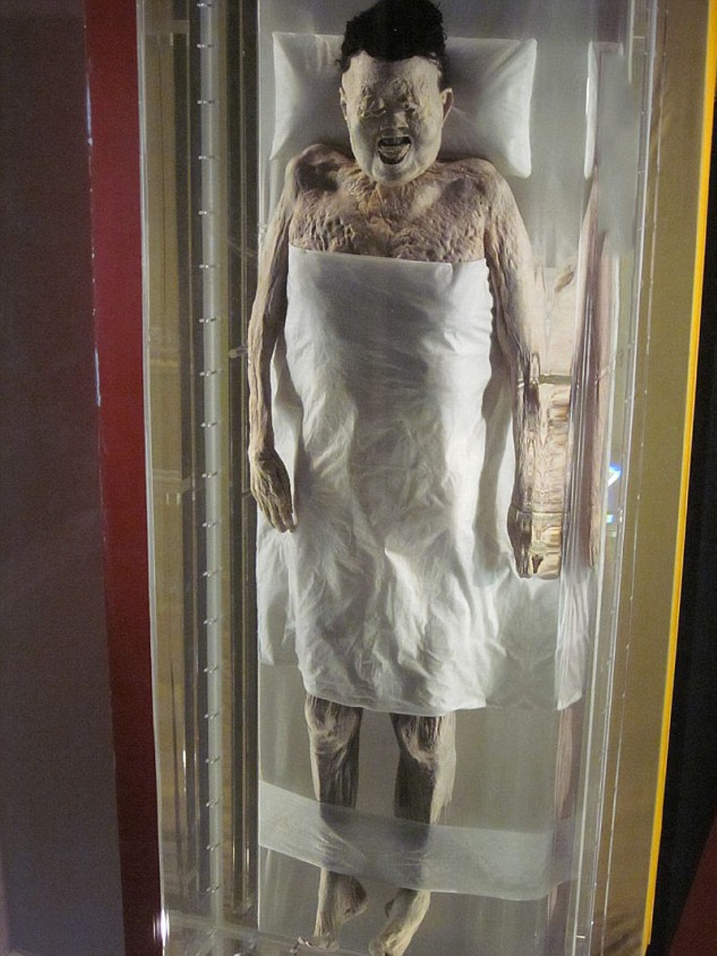 Esta es la momia más terrorífica que existe
