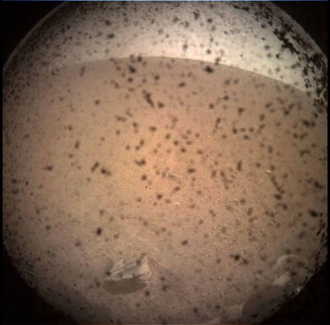 Esta es la primera foto de Marte enviada por la InSight