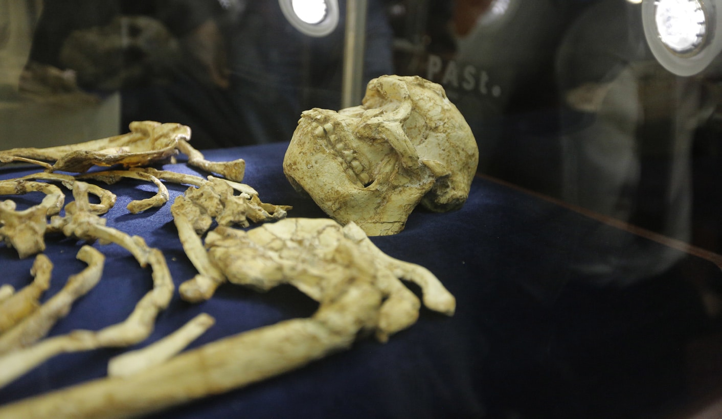 Este es uno de los esqueletos humanos más antiguo y completo del mundo