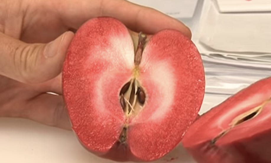 Frutas a la carta: color, tamaño y forma