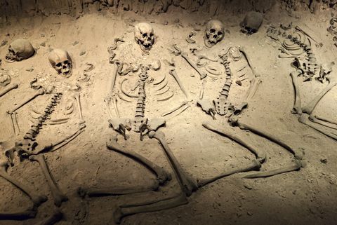 Una técnica más fiable para descubrir el sexo de antiguos esqueletos