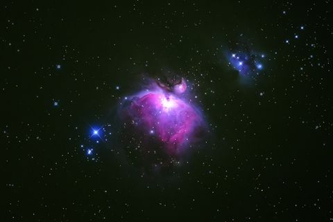 La vida extraterrestre podría ser de color púrpura