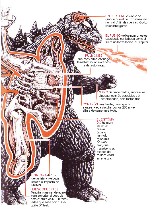 Godzilla por rayos X
