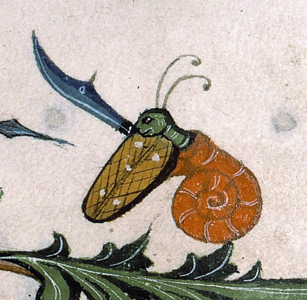 ¿Había caracoles gigantes en la Edad Media?
