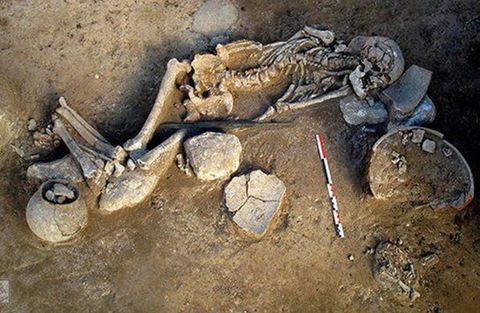 Encuentran la tumba de uno de los primeros guerreros persas
