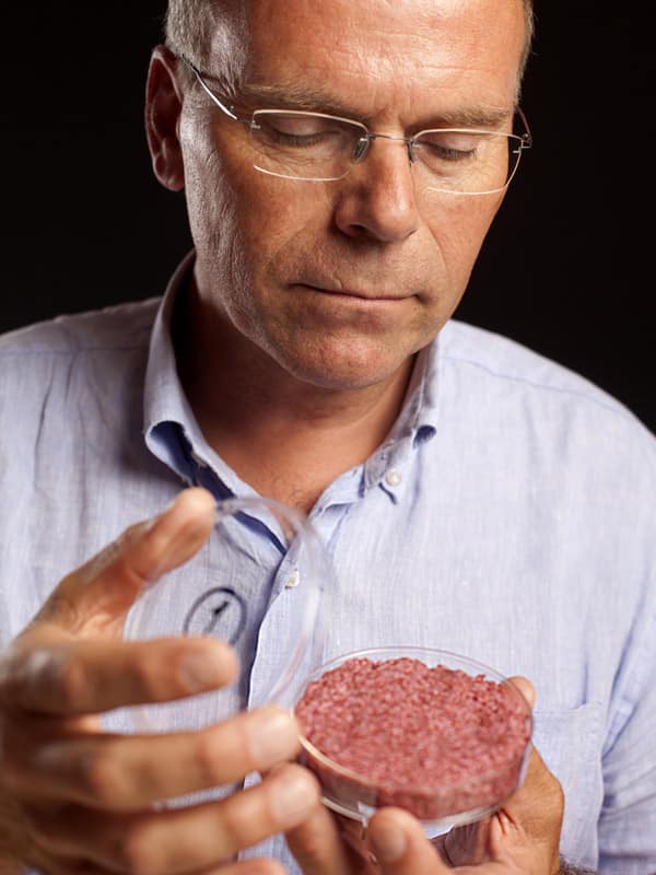 Hamburguesa de carne artificial: Preparación