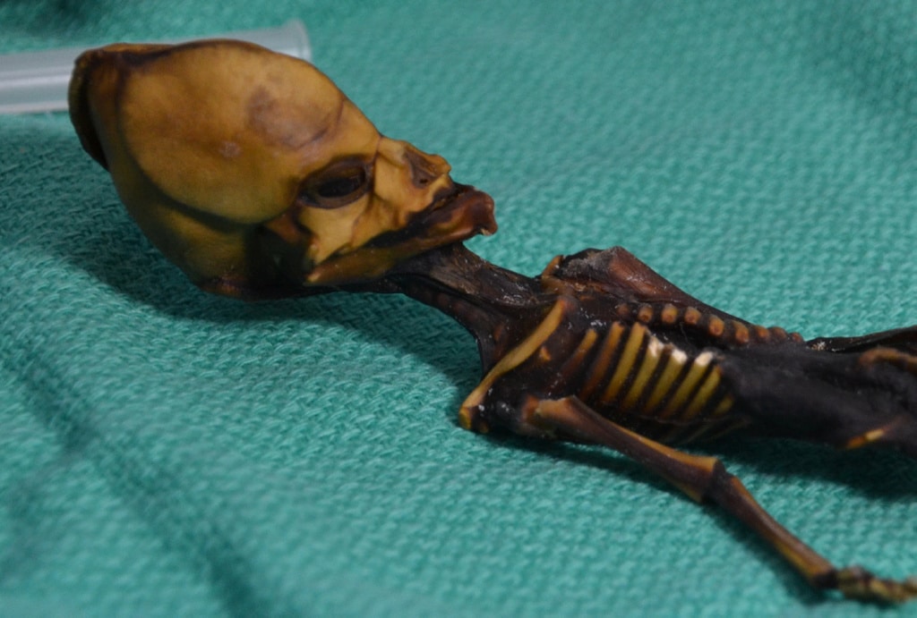 Han resuelto el misterio del supuesto esqueleto alien de Atacama