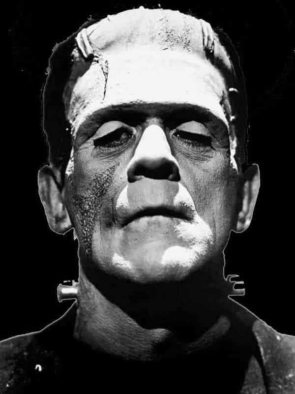 Harry Potter y los otros 8 rostros de Frankenstein
