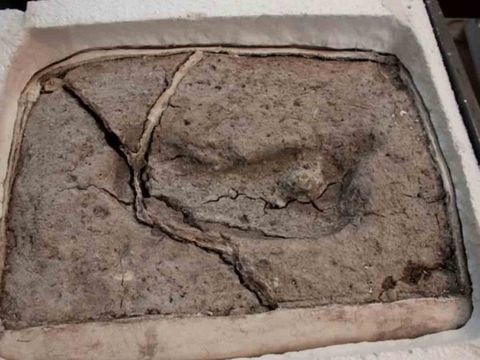 Aparece la huella humana más antigua de América