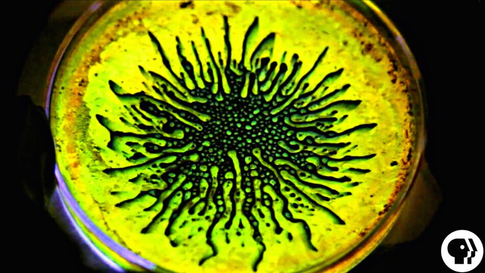 ¡Impresionante! ¿Sabes qué pasa si mezclas líquido fluorescente con un ferrofluido?