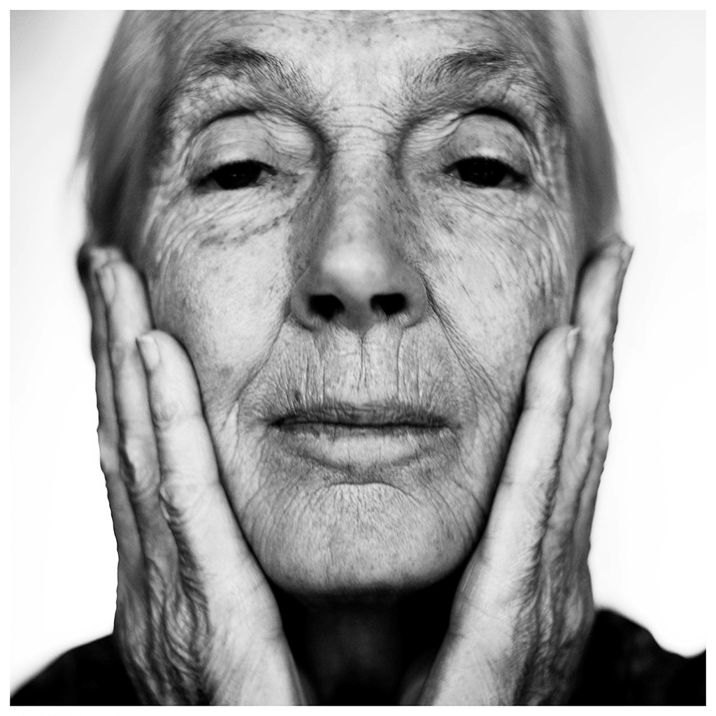 Jane Goodall: «Me quedo sin tiempo. Y quiero dar un buen uso a mis últimos años»