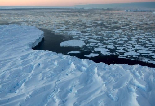 La Antártida, ¿un refugio climático?