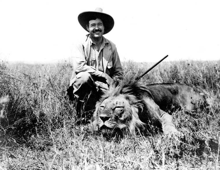 La caza de leones, como trofeo, ayudaría a conservar la especie