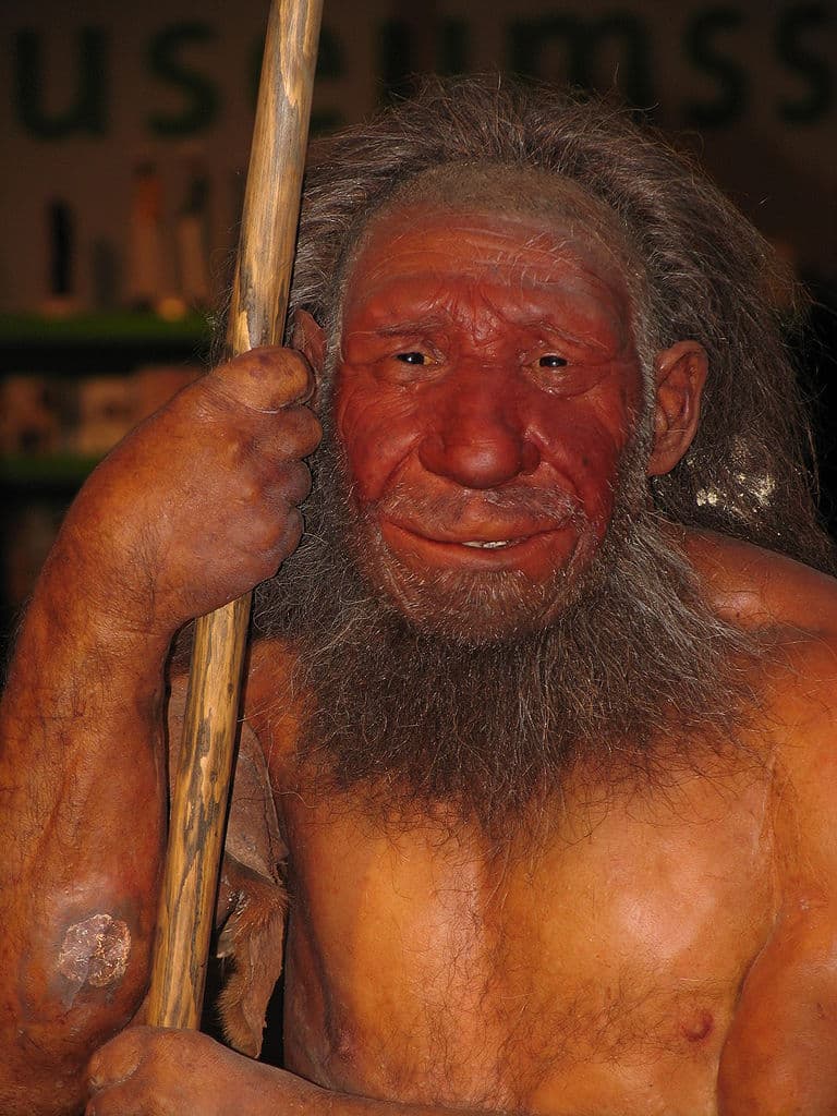 La cueva que demuestra que los neandertales eran caníbales