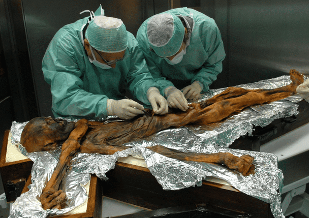 La dieta de Ötzi era muy alta en grasas