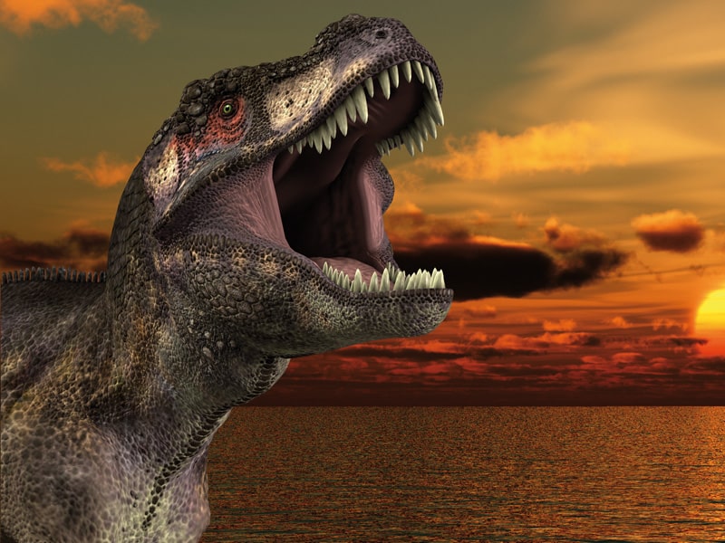 La hora del misterio: ¿Qué sabemos de los dinosaurios?