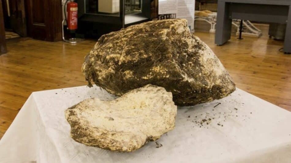 La mantequilla más rancia del mundo tiene 2000 años