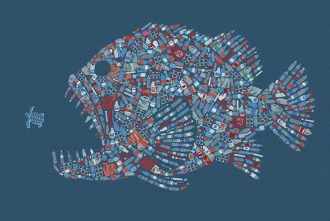 Peces con ración de plástico: el nuevo menú oceánico que nos espera para 2025