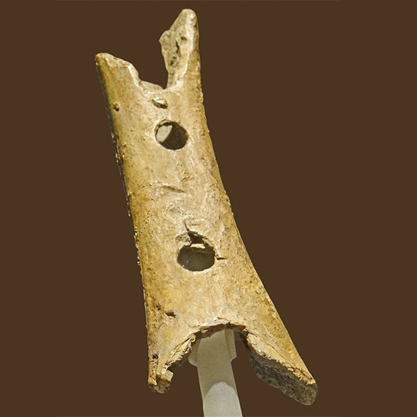Las flautas neandertales… Vaya timo